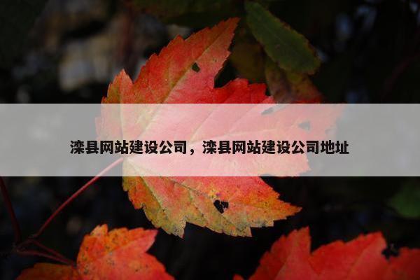 滦县网站建设公司，滦县网站建设公司地址
