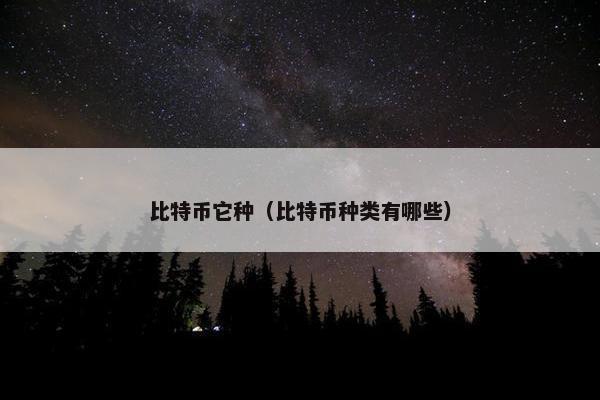 比特币它种（比特币种类有哪些）