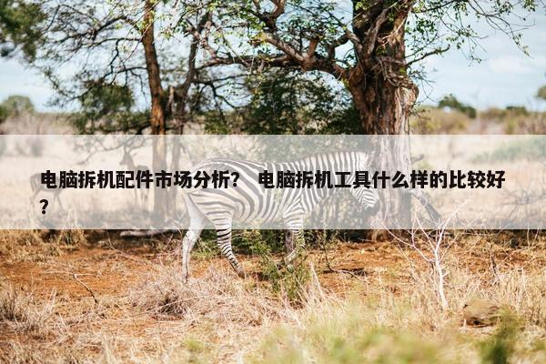 电脑拆机配件市场分析？ 电脑拆机工具什么样的比较好？
