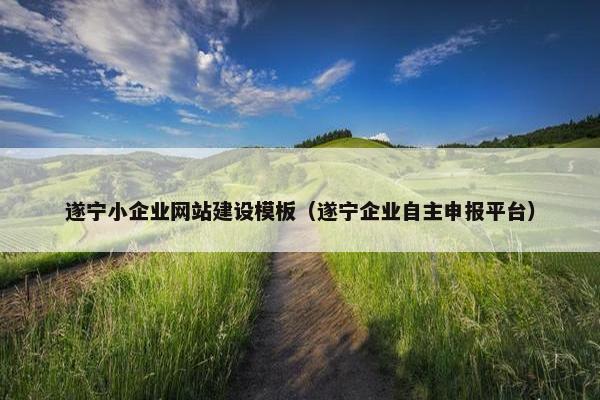 遂宁小企业网站建设模板（遂宁企业自主申报平台）