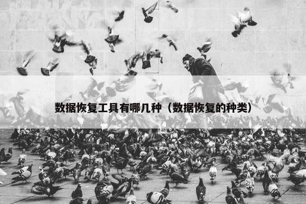 数据恢复工具有哪几种（数据恢复的种类）