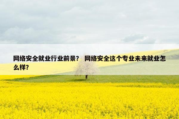 网络安全就业行业前景？ 网络安全这个专业未来就业怎么样？