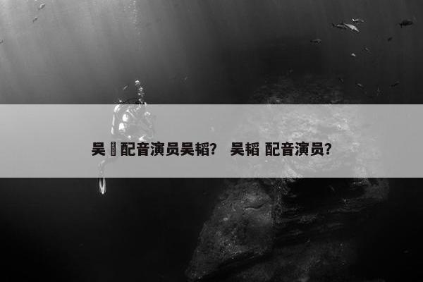 吴晛配音演员吴韬？ 吴韬 配音演员？