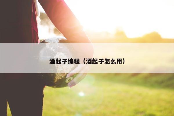 酒起子编程（酒起子怎么用）