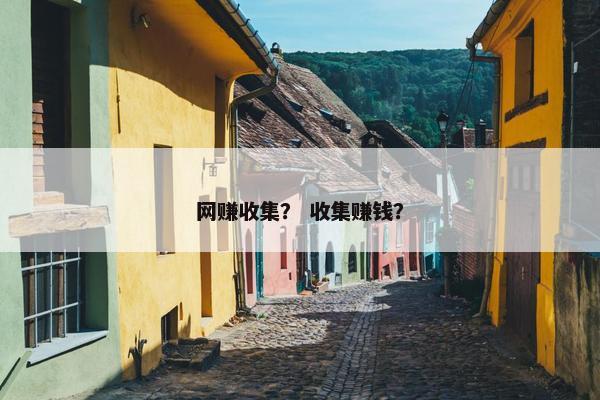 网赚收集？ 收集赚钱？
