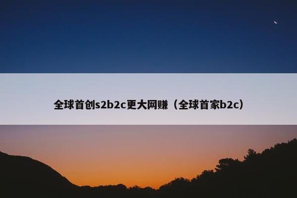 全球首创s2b2c更大网赚（全球首家b2c）