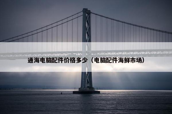 通海电脑配件价格多少（电脑配件海鲜市场）