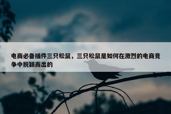 电商必备插件三只松鼠，三只松鼠是如何在激烈的电商竞争中脱颖而出的