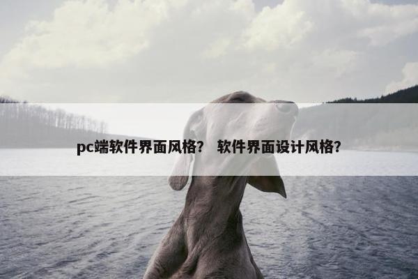 pc端软件界面风格？ 软件界面设计风格？
