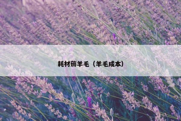 耗材薅羊毛（羊毛成本）