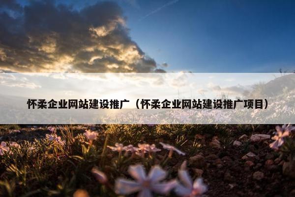 怀柔企业网站建设推广（怀柔企业网站建设推广项目）