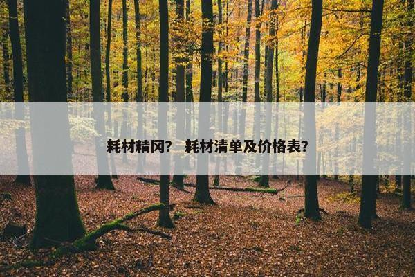 耗材精冈？ 耗材清单及价格表？