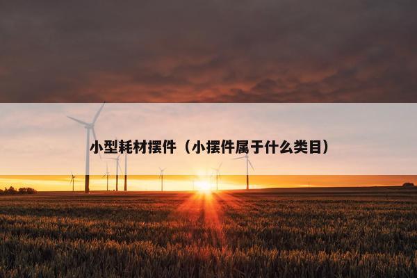 小型耗材摆件（小摆件属于什么类目）