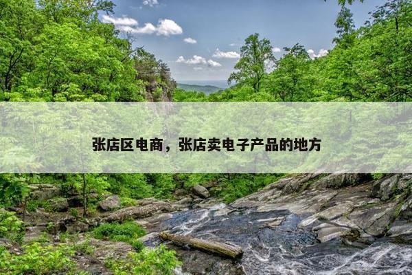张店区电商，张店卖电子产品的地方