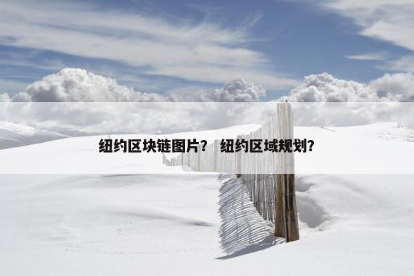 纽约区块链图片？ 纽约区域规划？