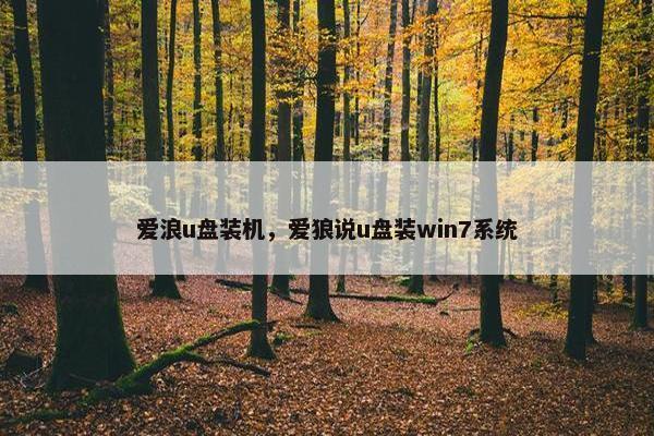 爱浪u盘装机，爱狼说u盘装win7系统