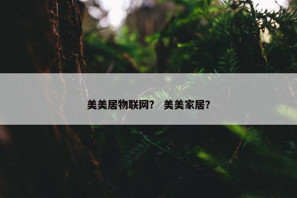 美美居物联网？ 美美家居？