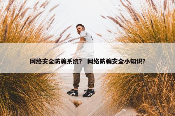 网络安全防骗系统？ 网络防骗安全小知识？