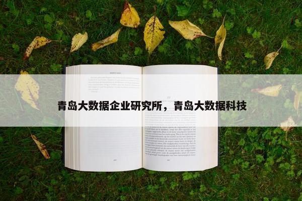 青岛大数据企业研究所，青岛大数据科技