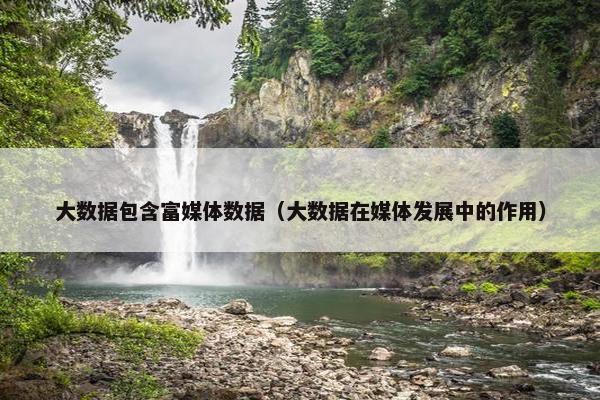 大数据包含富媒体数据（大数据在媒体发展中的作用）