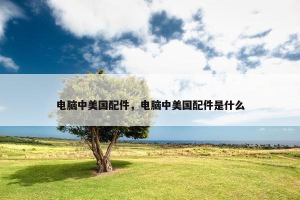 电脑中美国配件，电脑中美国配件是什么