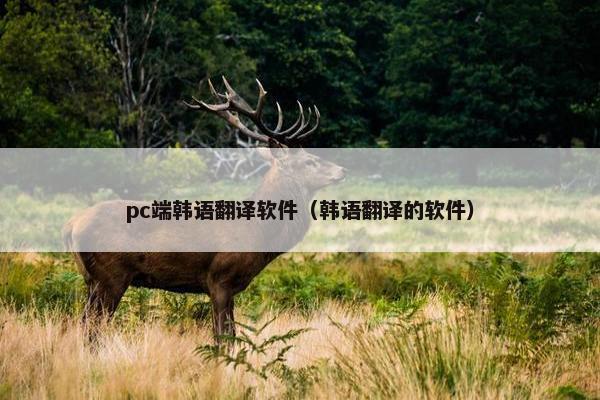 pc端韩语翻译软件（韩语翻译的软件）