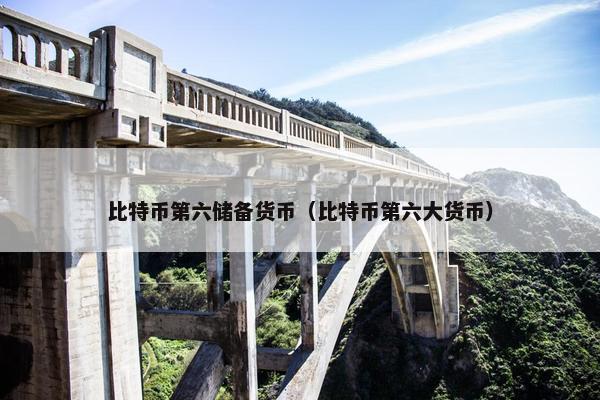 比特币第六储备货币（比特币第六大货币）