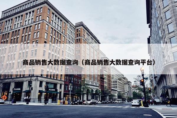 商品销售大数据查询（商品销售大数据查询平台）