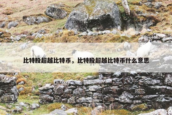 比特股超越比特币，比特股超越比特币什么意思