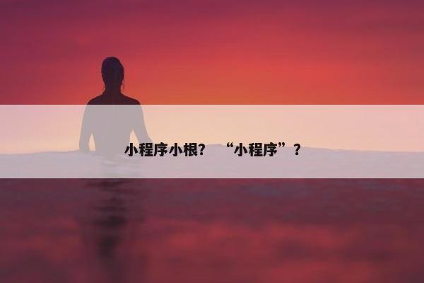 小程序小根？ “小程序”？