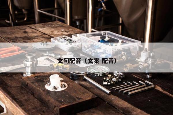 文句配音（文案 配音）