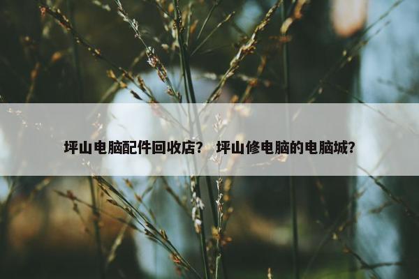 坪山电脑配件回收店？ 坪山修电脑的电脑城？