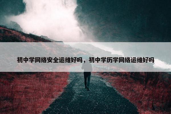 初中学网络安全运维好吗，初中学历学网络运维好吗