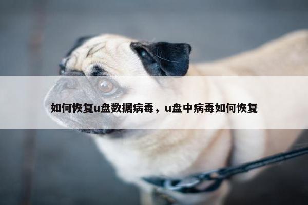 如何恢复u盘数据病毒，u盘中病毒如何恢复