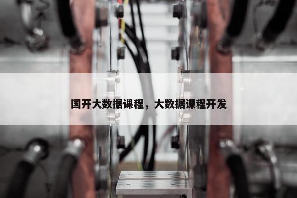 国开大数据课程，大数据课程开发