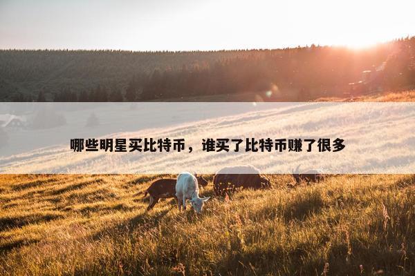 哪些明星买比特币，谁买了比特币赚了很多