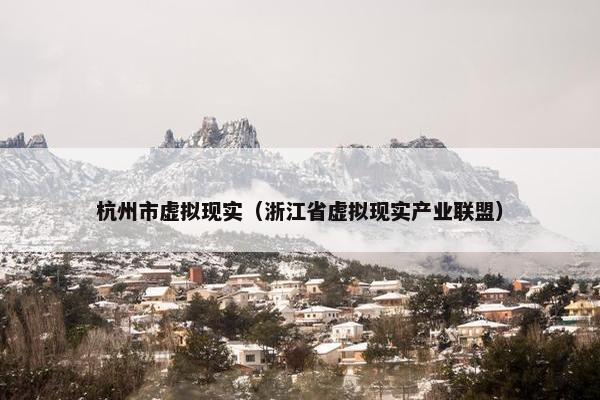 杭州市虚拟现实（浙江省虚拟现实产业联盟）