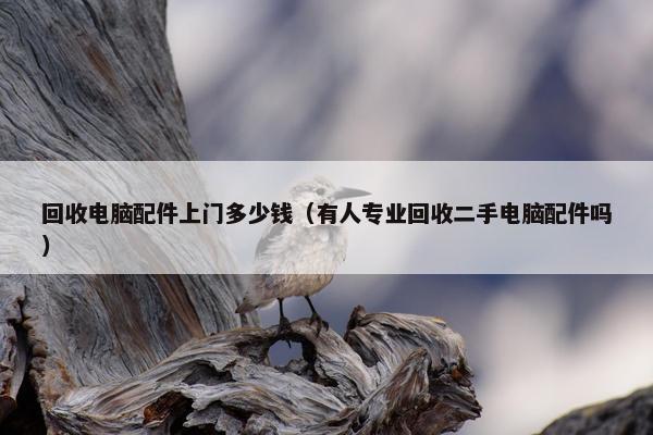 回收电脑配件上门多少钱（有人专业回收二手电脑配件吗）