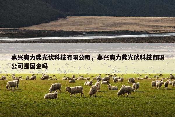 嘉兴奥力弗光伏科技有限公司，嘉兴奥力弗光伏科技有限公司是国企吗