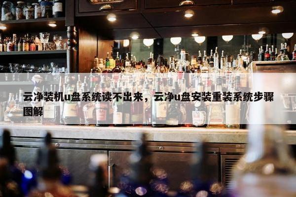 云净装机u盘系统读不出来，云净u盘安装重装系统步骤图解