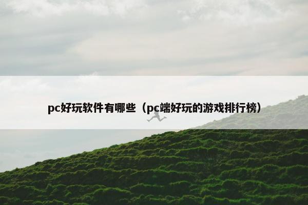 pc好玩软件有哪些（pc端好玩的游戏排行榜）