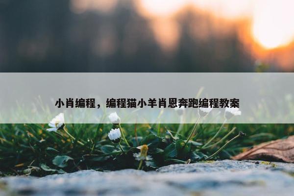 小肖编程，编程猫小羊肖恩奔跑编程教案