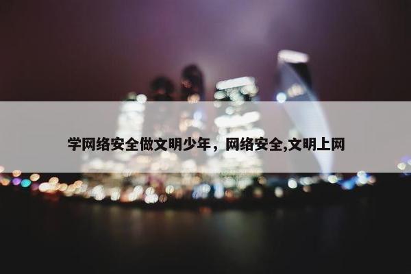 学网络安全做文明少年，网络安全,文明上网
