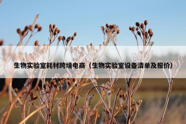 生物实验室耗材跨境电商（生物实验室设备清单及报价）