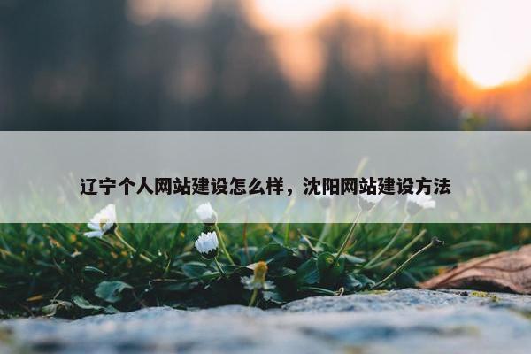 辽宁个人网站建设怎么样，沈阳网站建设方法