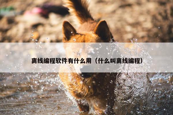 离线编程软件有什么用（什么叫离线编程）