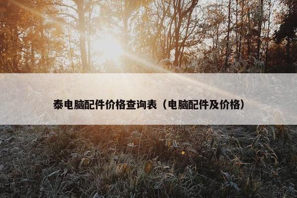 泰电脑配件价格查询表（电脑配件及价格）