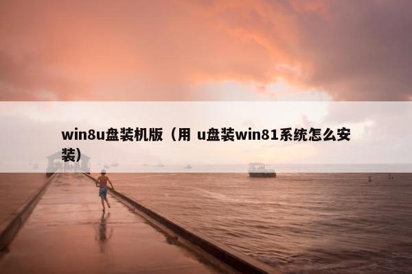 win8u盘装机版（用 u盘装win81系统怎么安装）
