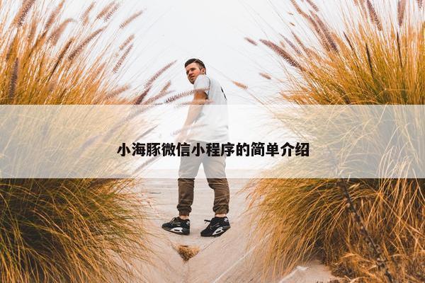 小海豚微信小程序的简单介绍