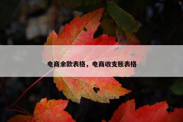 电商余款表格，电商收支账表格
